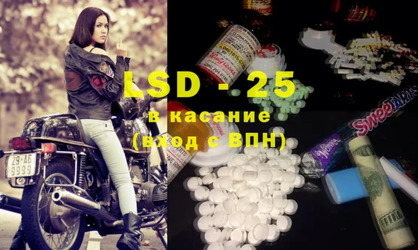 PSILOCYBIN Бородино