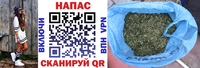 Бошки марихуана THC 21%  кракен зеркало  Дрезна 